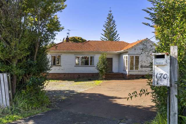 170 Astley Avenue New Lynn_3