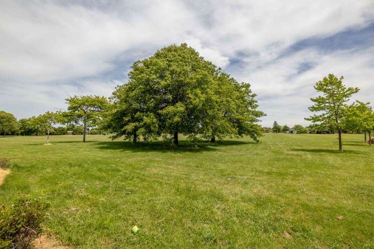 53 Waratah Street Avondale_16