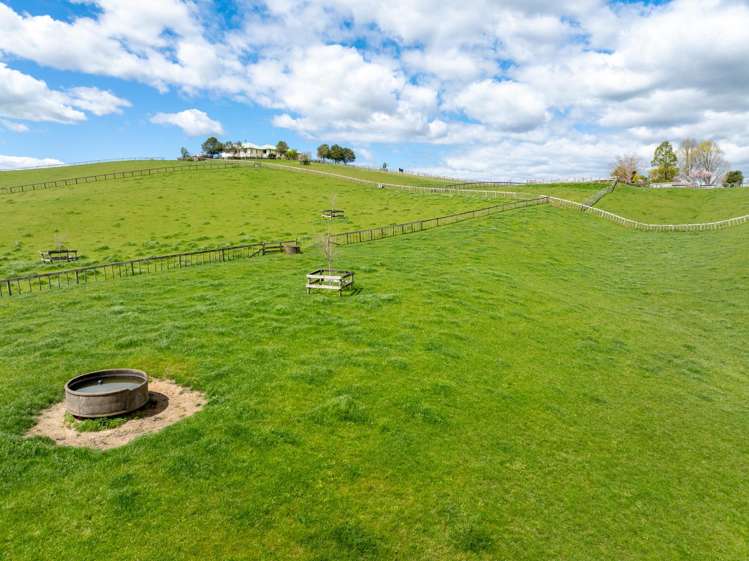 376 Morgan Road Matamata_28