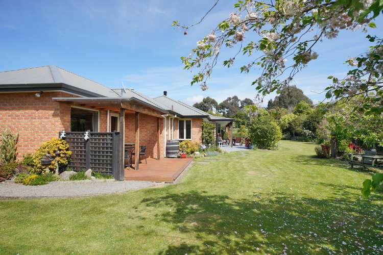 17 Dover Street Leithfield_20