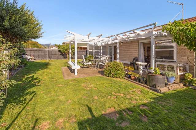 31 Burn Street Levin_2