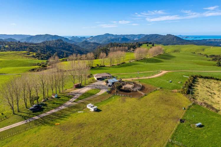 165 McBeth Road Hikuai_28