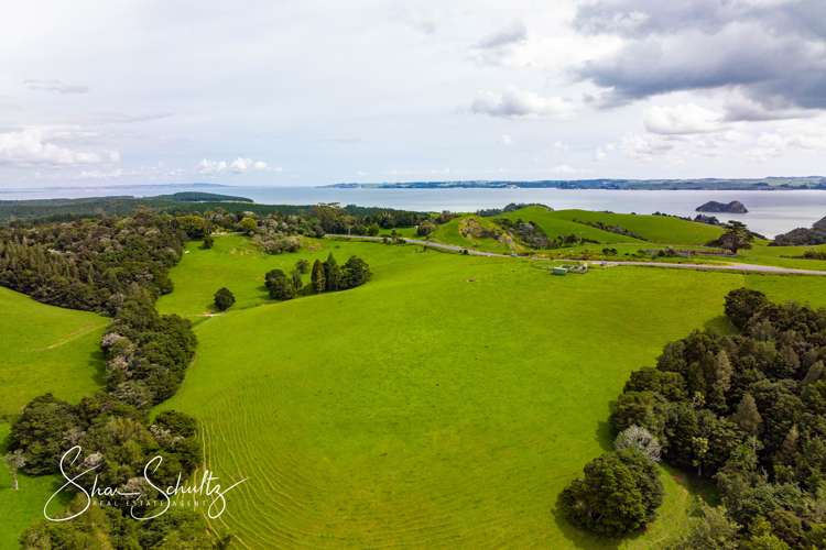 1509 Tinopai Road Tinopai_30