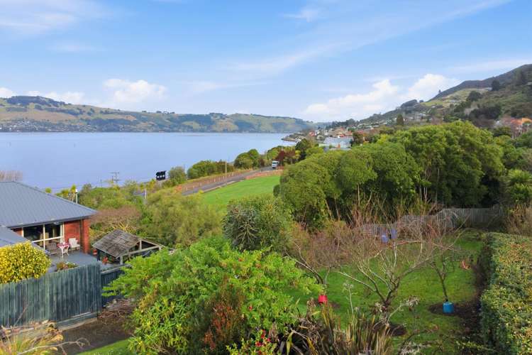 3A Weka Street Saint Leonards_7