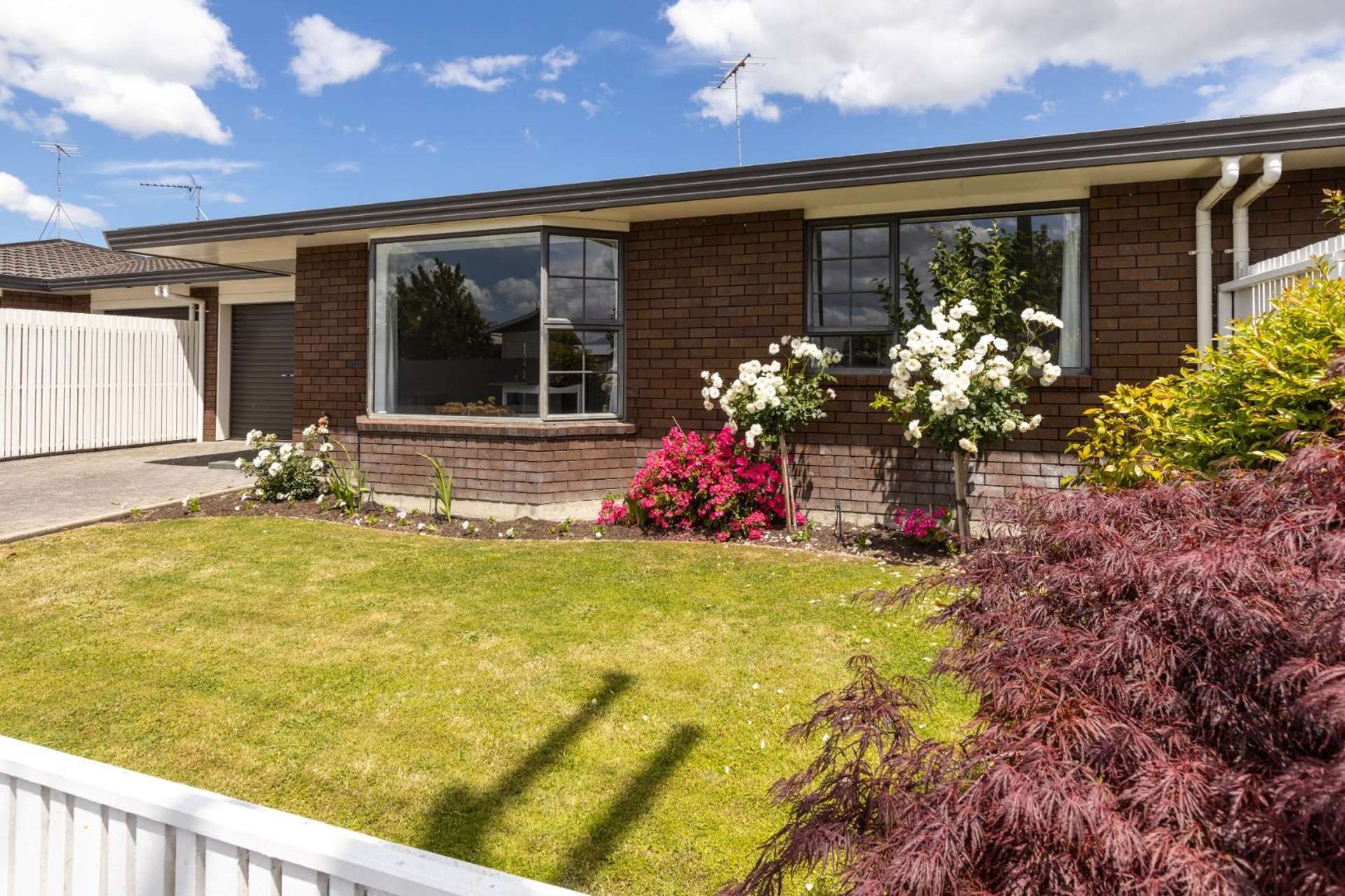 81 Arthur Street Blenheim Central_0