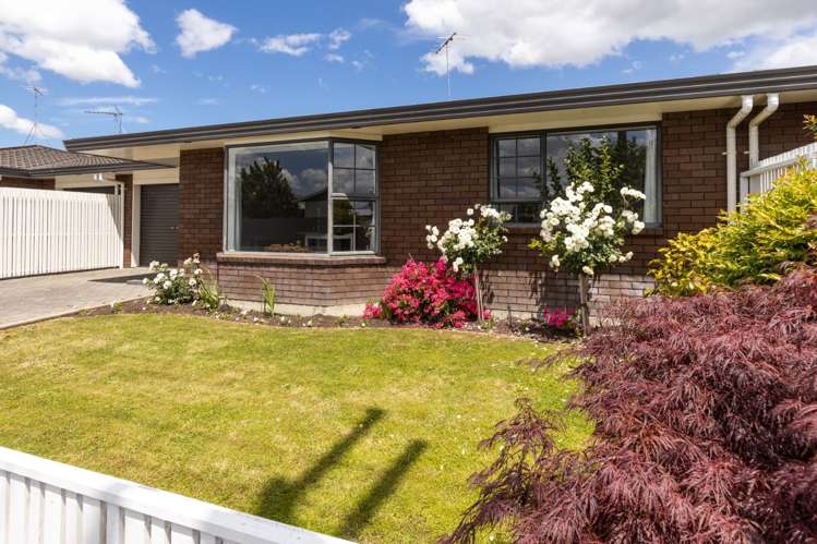 81 Arthur Street Blenheim Central_0