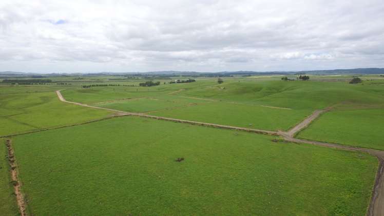 590e Koheroa Road Mangatawhiri_3