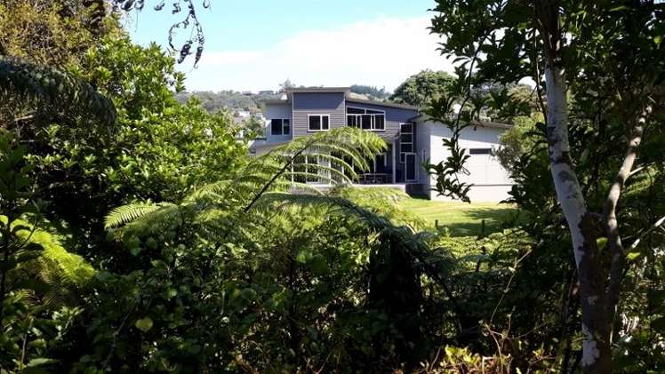 211 Onemana Drive Onemana_12