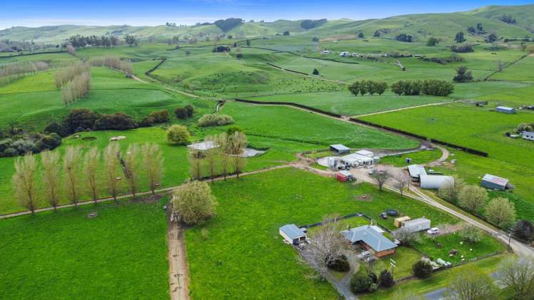 60/63 Harbottle Road Morrinsville_33