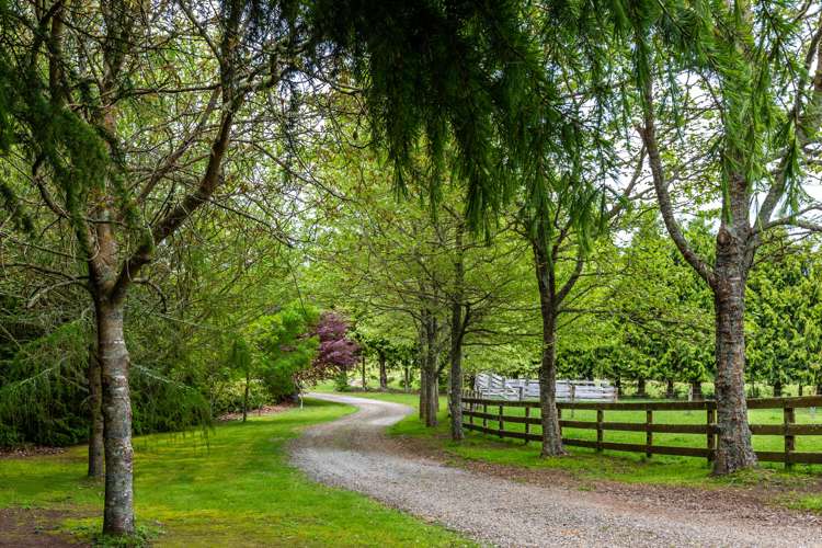 202 Palmer Mill Road Wairakei and Surrounds_1