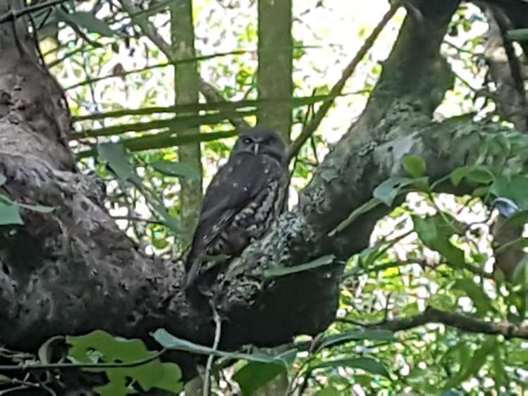 914 Whakapirau Road Whakapirau_6