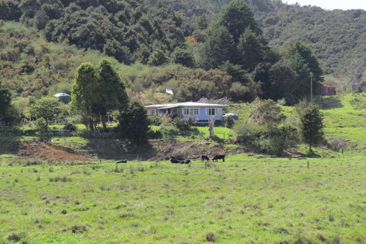 28B Waikino Road Karetu_1