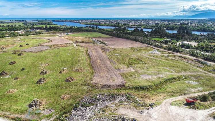 Alma Road Westport_10