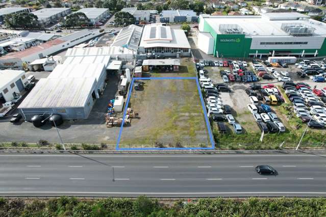 Yard | 116 Stoddard Road Mount Roskill_1