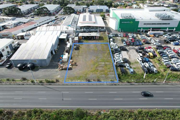 Yard | 116 Stoddard Road Mount Roskill_1