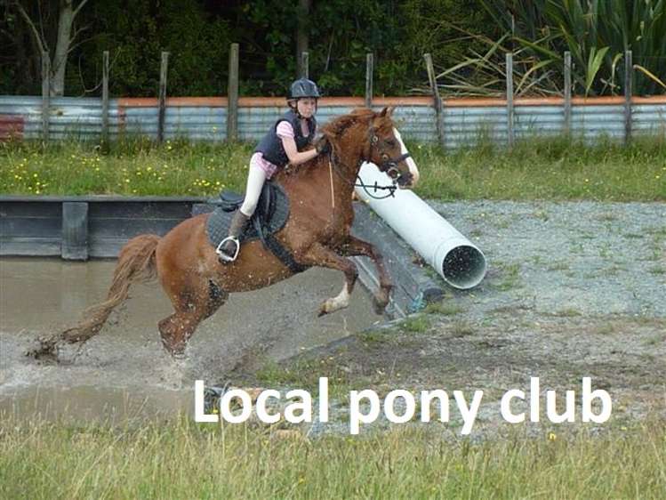 741 Settlement Road Kaiwaka_2