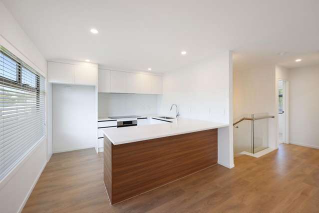 D/70 Portage Road New Lynn_2