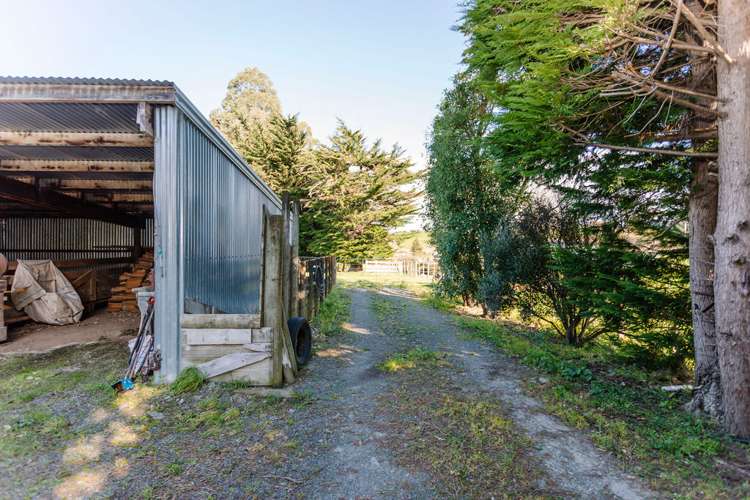 241 Adelaide Road Dannevirke_21