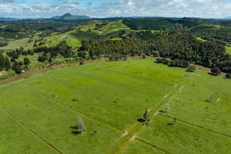 Farm 1 Pukehuia Road Tangiteroria_10