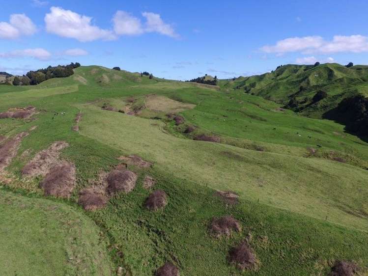 1190 Ohura Road Waimiha-Ongarue_5