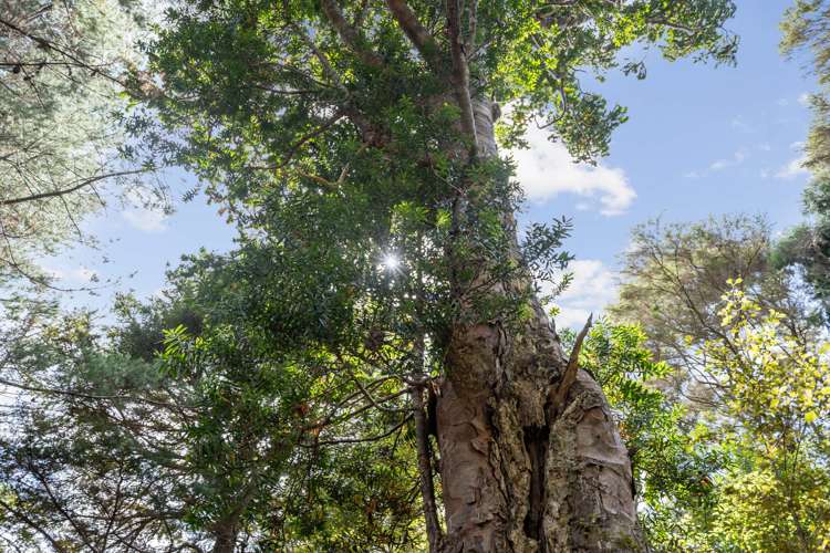 15 Waiparera Road Parua Bay_7