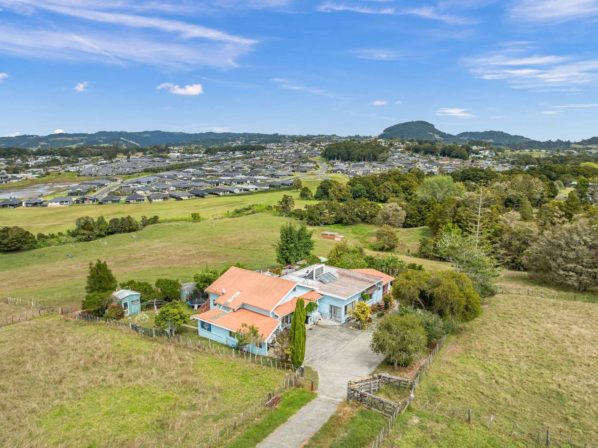 109 Vinegar Hill Road Kauri_0