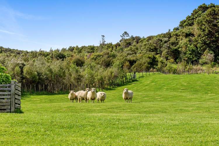 1166 Weranui Road Wainui_24