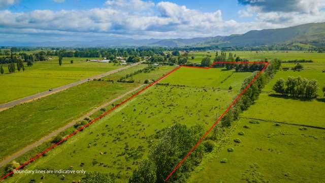 20 Ryall Road Paeroa_1