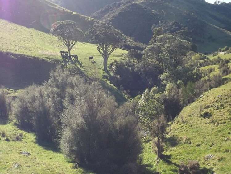 704 Mangatarere Valley Road Carterton_20