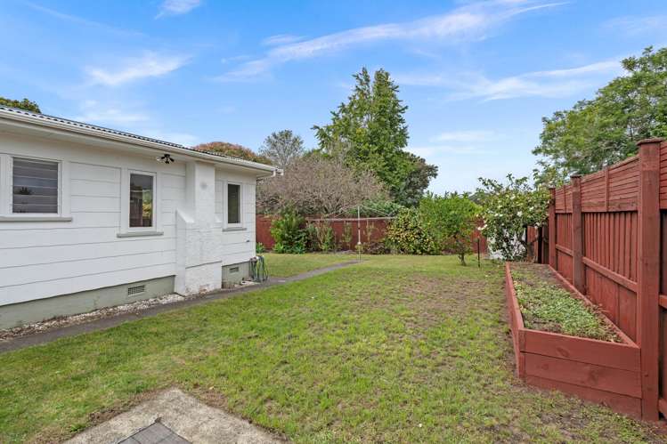 172 One Tree Point Road One Tree Point_15