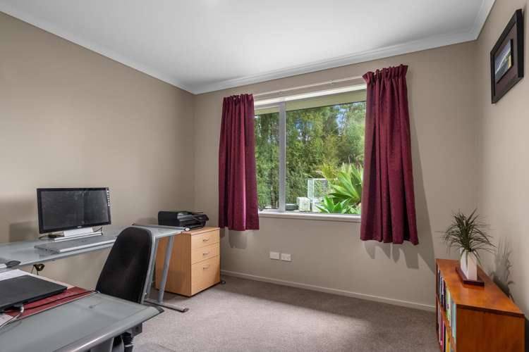 194B Horseshoe Bush Road Dairy Flat_19