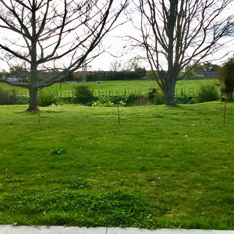 407b Christie Avenue Te Awamutu_3