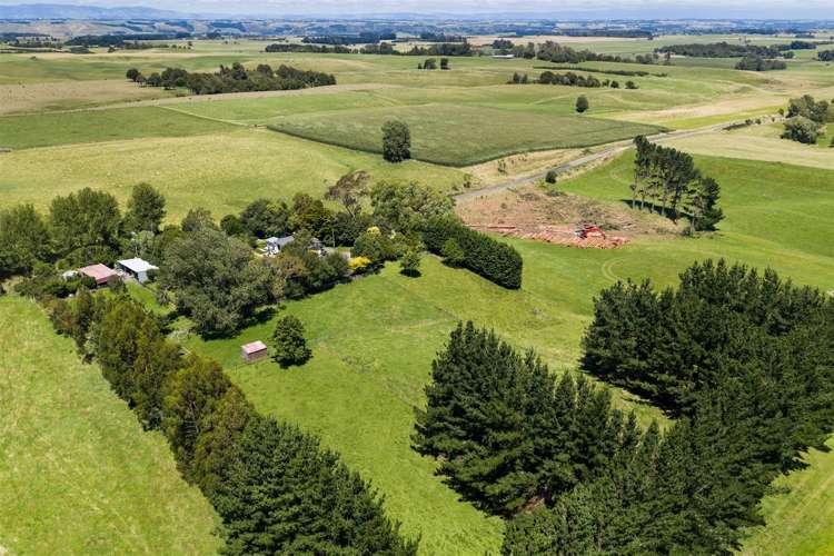 189 Griffins Road Marton_40