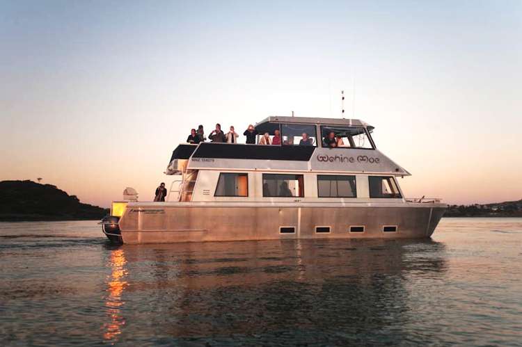 Wahinemoe - Raglan Boat Charters, Raglan_17