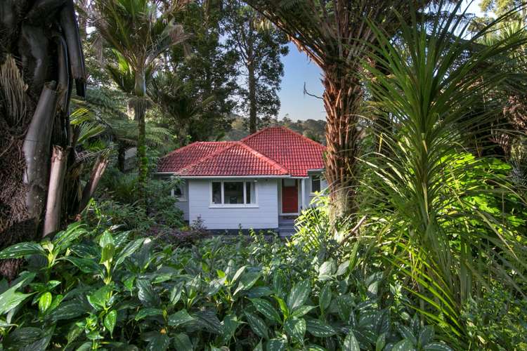 12 Tainui Road Titirangi_0