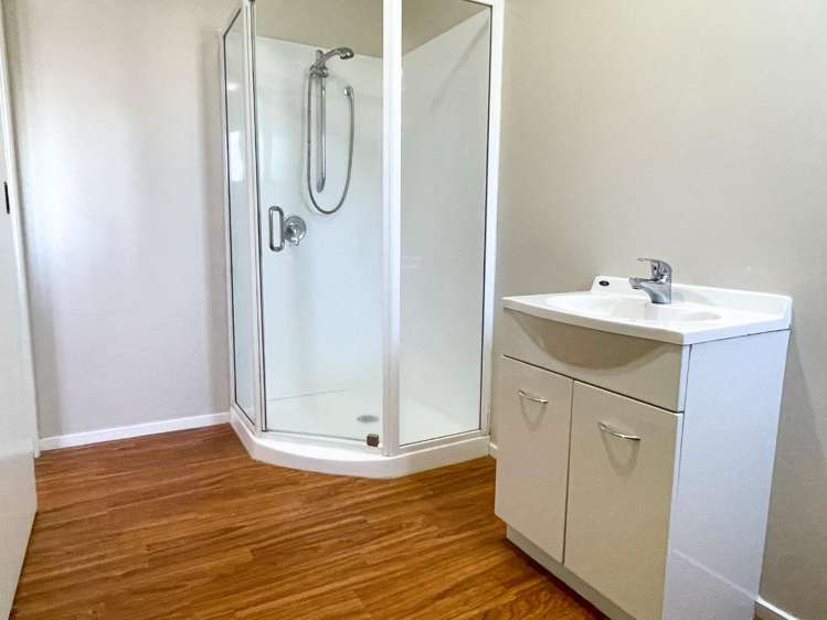 30 Cameron Street Sydenham_6