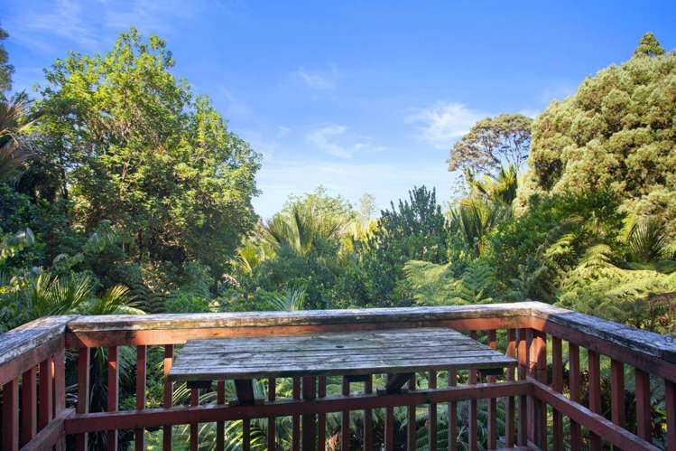 45 Takahe Rd 11422_10