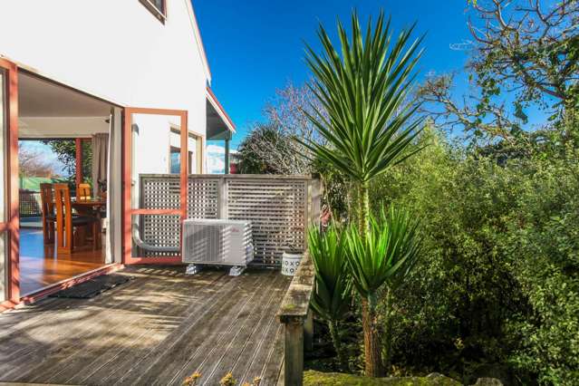 3 Raleigh Street Mount Eden_3