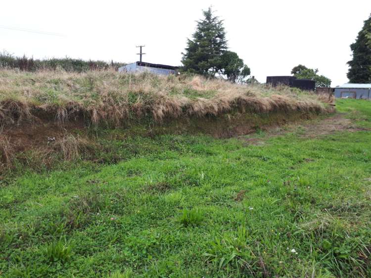 211 Surrey Road Tariki_6