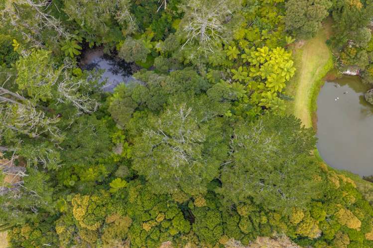 71 Mahana Road Waimauku_14