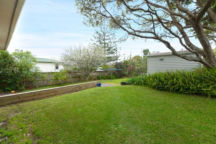 24 Trinidad Street Blockhouse Bay_19