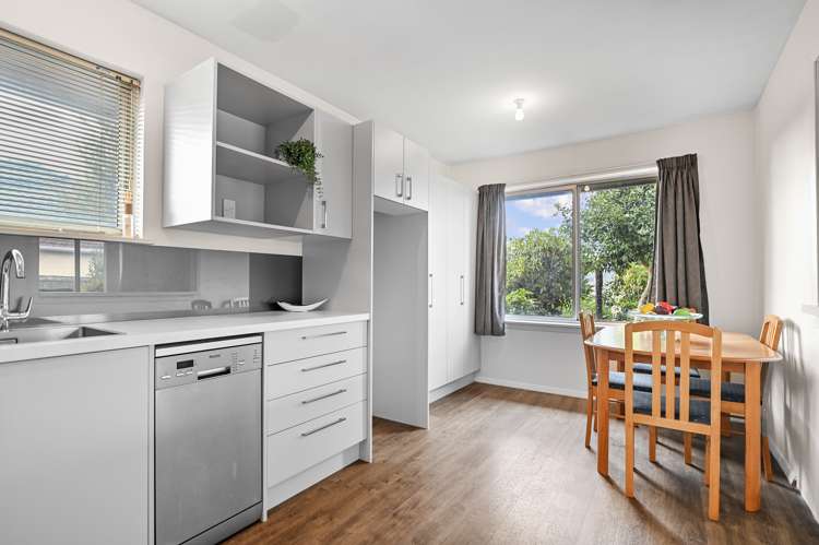 29 Bermuda Drive Hornby_2