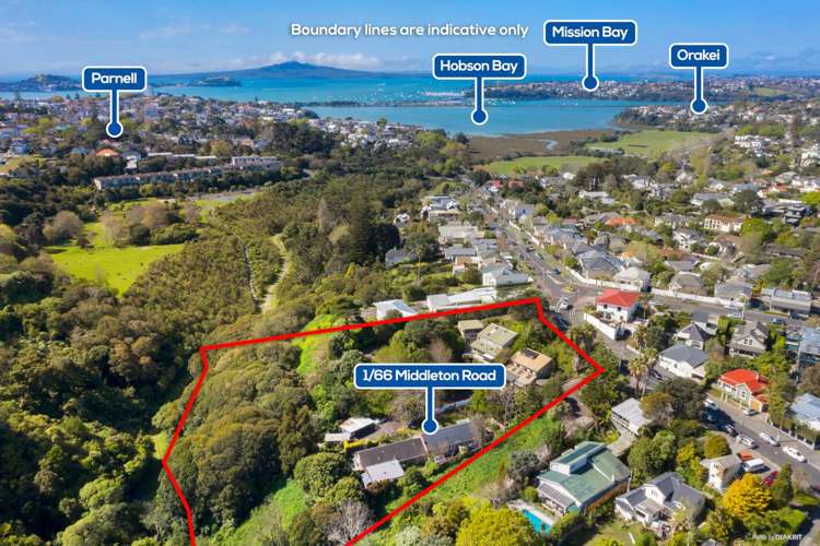 1/66 Middleton Road Remuera_21