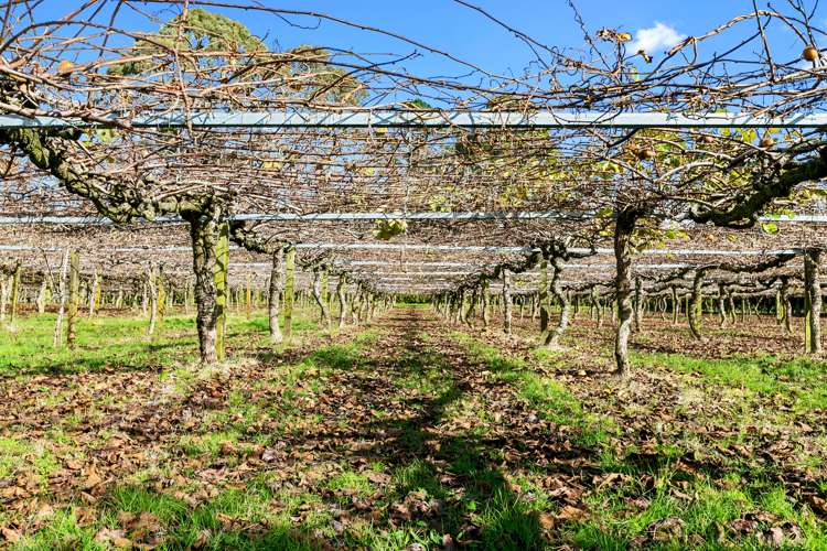 156a Lockington Road Aongatete_3