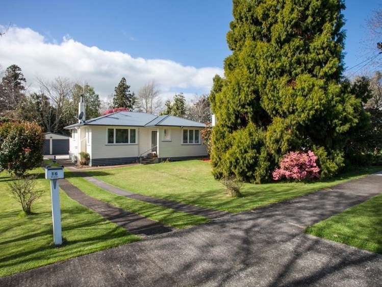 16 Fitzgerald Avenue Matamata_9