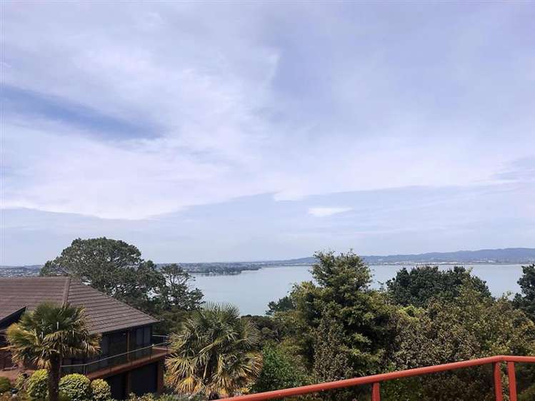 75 Onetaunga Road Chatswood_5