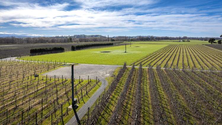 Kiwi Crunch Orchard Portfolio Twyford_22