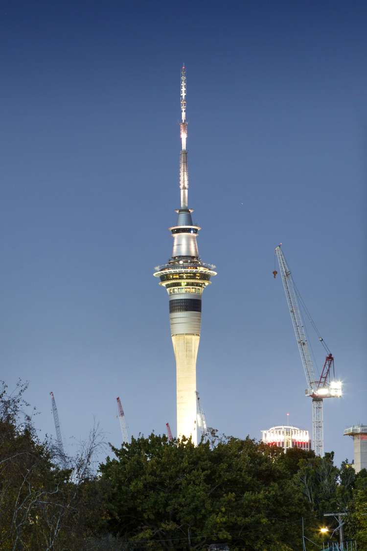 43c Anglesea Street Freemans Bay_5