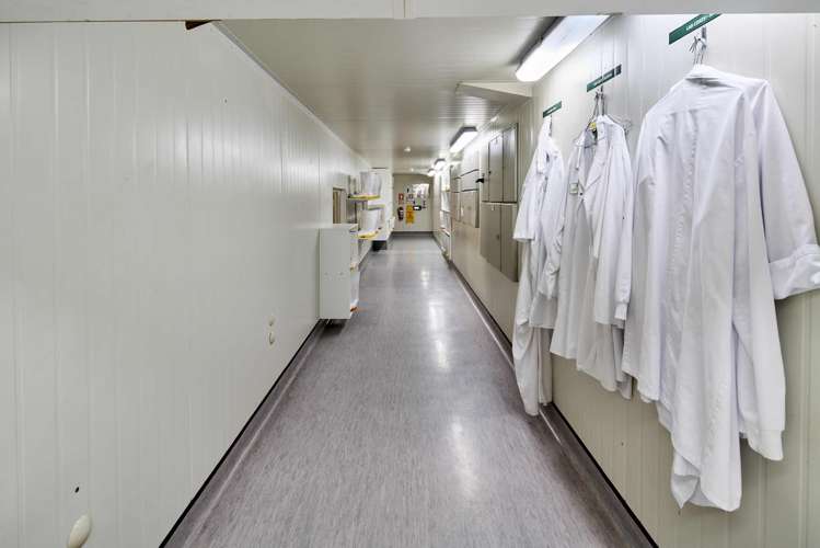 131 Gracefield Road Gracefield_10