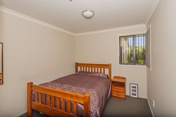 3 Pixie Lane Dargaville_12